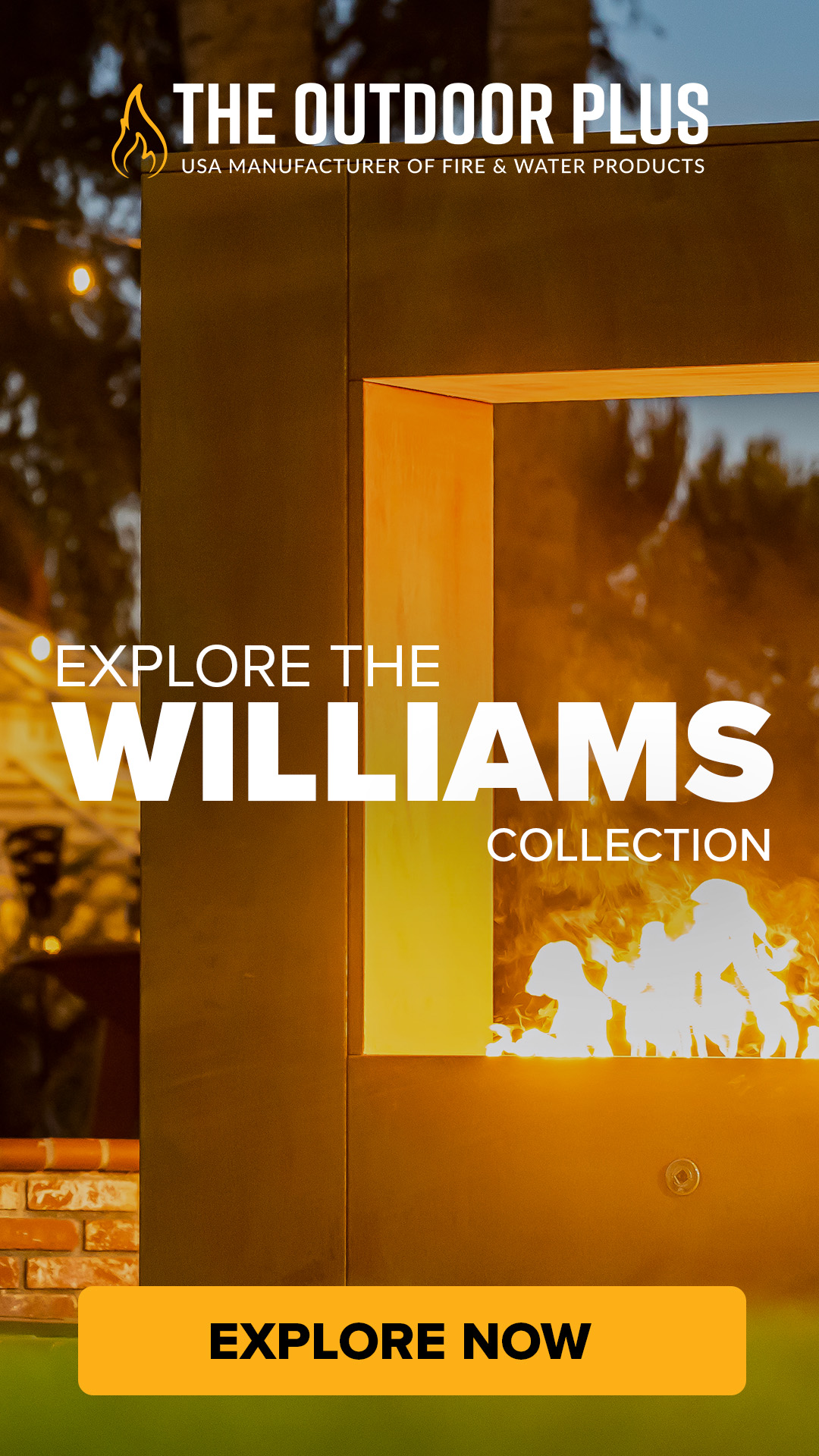 The Williams Collection